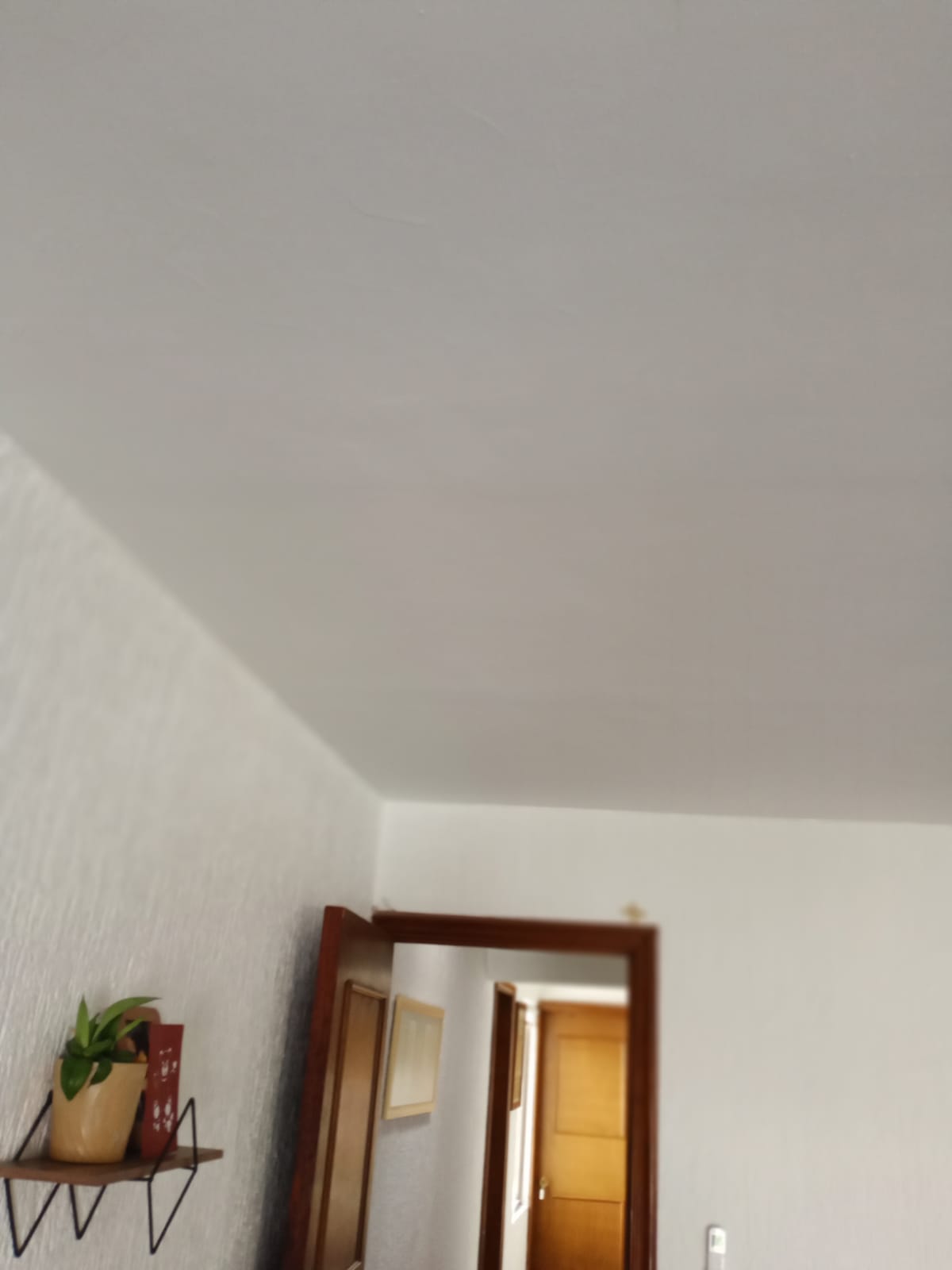 foto interior 2